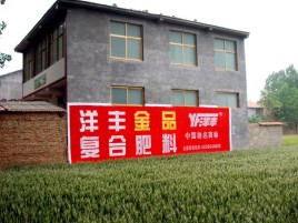 含山如何让墙体广告展现最大化效果
